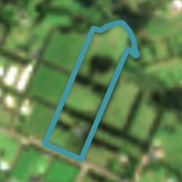 84 Waipapa Road, WAIPAPA, Waipapa