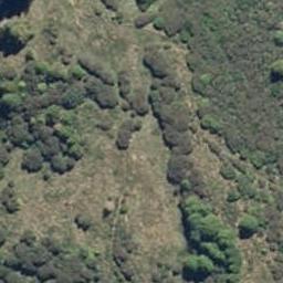 0 Uwha Road, Raurimu, Owhango