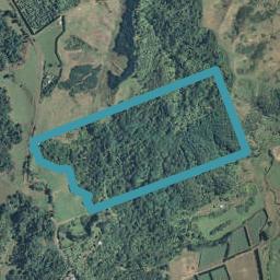 729 Tablelands Road, Tirohanga, Opotiki