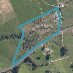 7 Harding Road, Wellsford, Wellsford