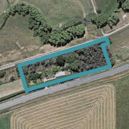 1520 Cust Road, Cust, Cust