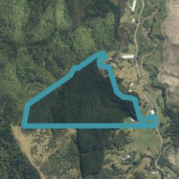 251A Cogswell Road, Raglan