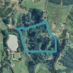 316 Rocky Cutting Road, Waitao, Waitao