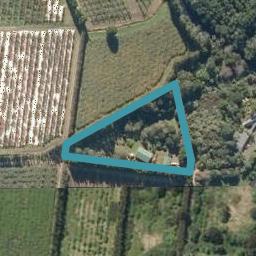 342 Waipapa Road, WAIPAPA, Waipapa