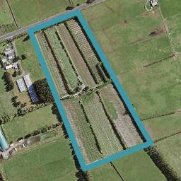 269 Airfield Road, Ardmore, Papakura