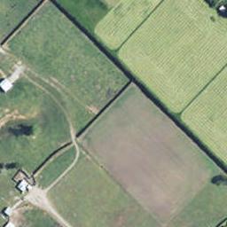 10 Te Rito Place, Hāwera