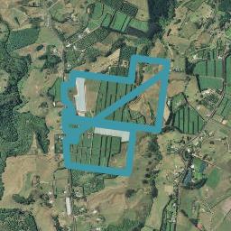 307 Wainui South Road, Whakamarama, Katikati