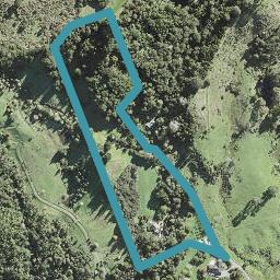 342 Pine Valley Road, Dairy Flat, Dairy Flat