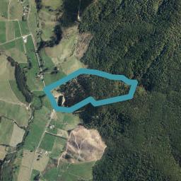 770 Ronga Road, Rai Valley