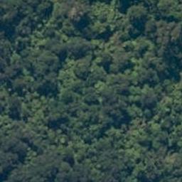 0 Neils Beach, Jackson Bay, Haast