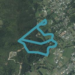 680 Albert Street, Coromandel, Coromandel