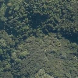 0 Whangarei Heads Road, Tamaterau, Whangarei
