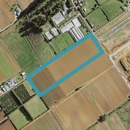 43 Adams Road South, Pukekohe