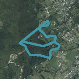 880 Albert Street, Coromandel, Coromandel
