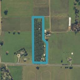 197 Reid Road, Gordonton