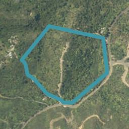 43B Sailors Grave Road, Pumpkin Hill, Whitianga