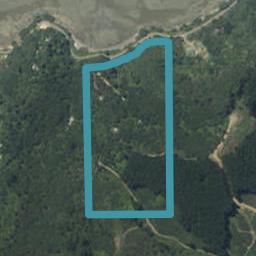 183 Wharf Road, Colville, Coromandel