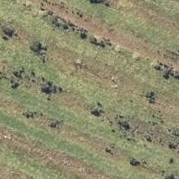 0 Oparara Road, Karamea, Karamea