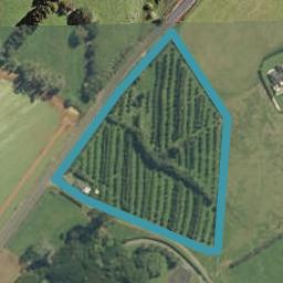 36 Nikau Road, Pokeno