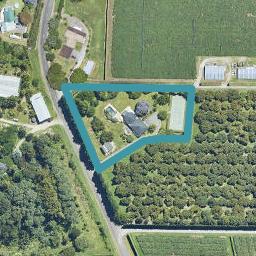 178 Keenan Road, Pyes Pa, Tauranga