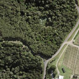 150 Carsons Road, Waiheke Island, Waiheke Island