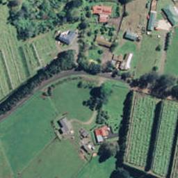123 Wharawhara Road, Tahawai, Katikati