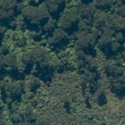 0 Neils Beach, Jackson Bay, Haast