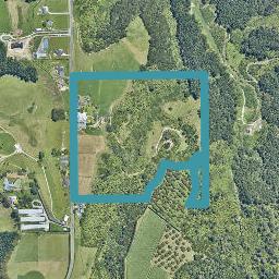 239 Joyce Road, Pyes Pa, Tauranga