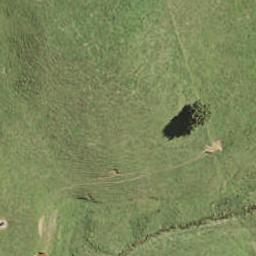 8 Pukewhau Road, Pukekohe, Pukekohe