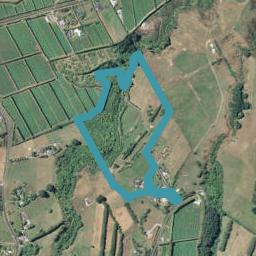 71C Laurel Drive, Whakamarama, Tauranga