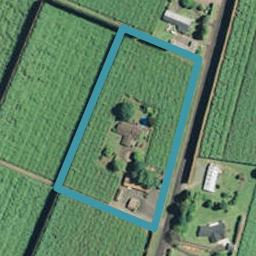 376 No 2 Road, Te Puke, Te Puke