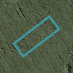 42 Uatoto Road, Clarks Beach, Clarks Beach