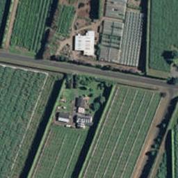 138 Tuapiro Road, Tahawai, Katikati