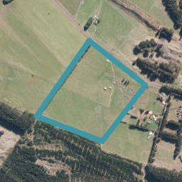 409 Brandon Hall Road, Bulls