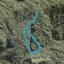 12 La Trobe Track, New Lynn