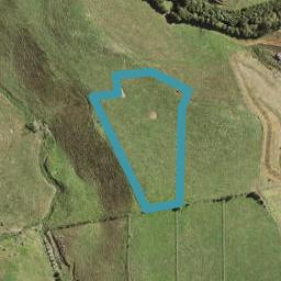 297 Runciman Road, Pukekohe