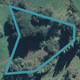 0 Waitepeka Road, Waitepeka, Balclutha