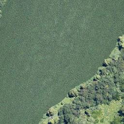 4246 Matapihi Road, MATAPIHI, MOUNT MAUNGANUI