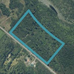 0 Arawata, Jackson Bay, Haast