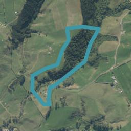 153 Omahine Road, Te Poi, Matamata
