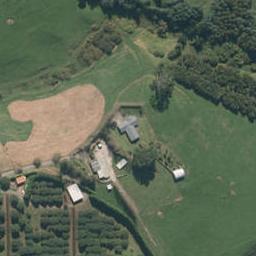 329E Thompsons Track, Aongatete, Aongatete