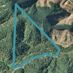 0 Whitikau Road, Toatoa, Opotiki