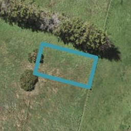42 Barley Road, Flat Bush, Auckland