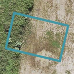 14 Oyster Drive, Whenuapai, Auckland