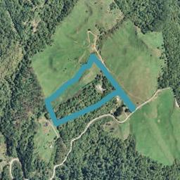 550 Mangatoi Road, Oropi, Tauranga