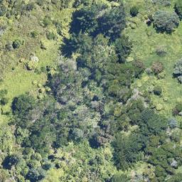 40 Hinganoa Drive, WHAKAREWAREWA, ROTORUA