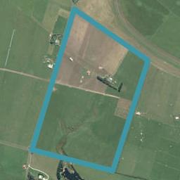 15 Peat Road, Waverley, Waverley
