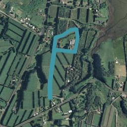 51 Tuapiro Road, Tahawai, Katikati