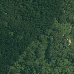 0 Rocky Cutting Road, Waitao, Tauranga