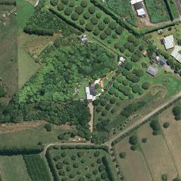 480B Youngson Road, Whakamarama, Whakamārama